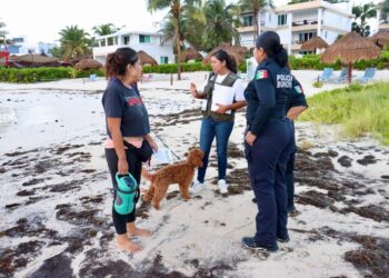 Promueven en Puerto Morelos la tenencia y custodia responsable de mascotas