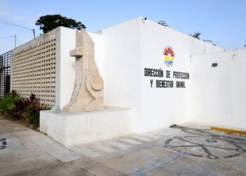 Gobierno de BJ restructurará la dirección de protección y bienestar animal