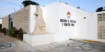 Gobierno de BJ restructurará la dirección de protección y bienestar animal