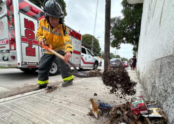 Gobierno Playa del Carmen activa el Operativo Tormenta con fuerza y coordinación ante pronóstico de lluvias