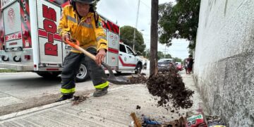 Gobierno Playa del Carmen activa el Operativo Tormenta con fuerza y coordinación ante pronóstico de lluvias