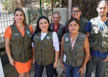 El bienestar animal, garantizado con políticas públicas en Puerto Morelos Blanca Merari