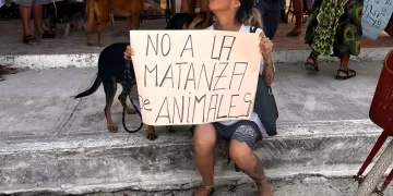 Juntan firmas en Holbox en protesta por envenenamiento de animales