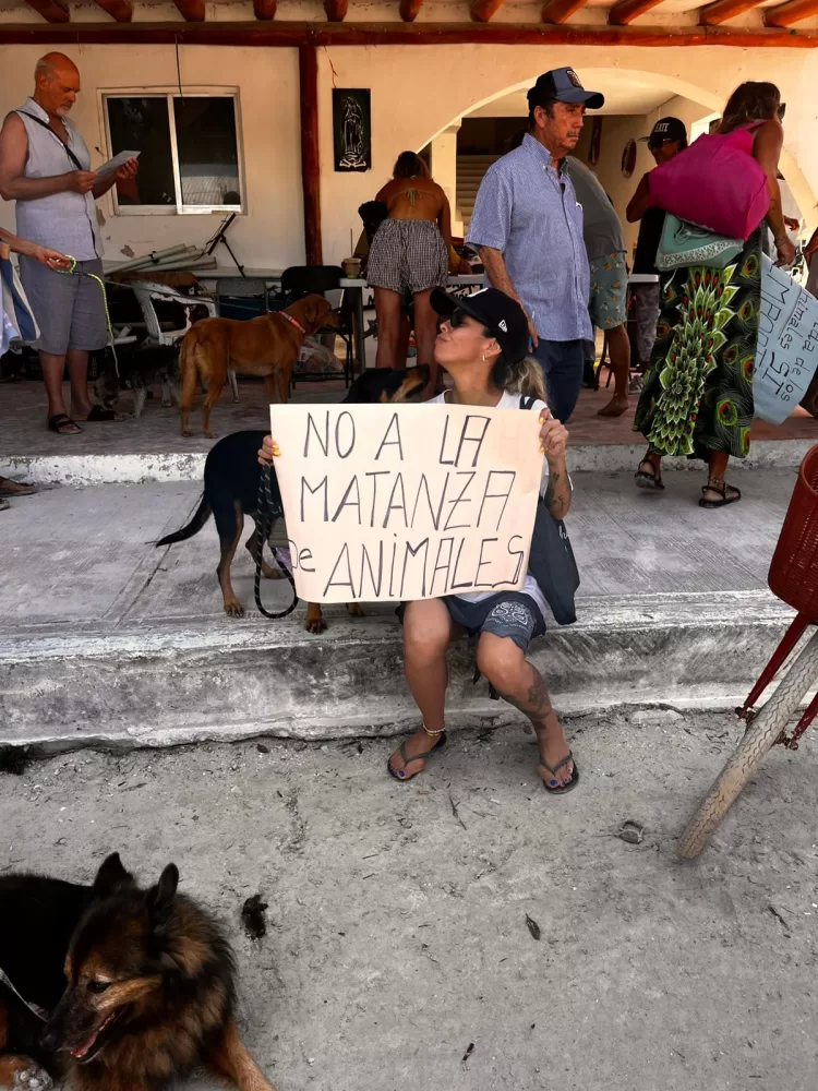 Juntan firmas en Holbox en protesta por envenenamiento de animales