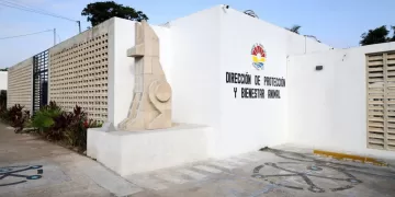 Chucho Pool exige aclarar paradero de mascotas tras cierre de Bienestar Animal en Cancún