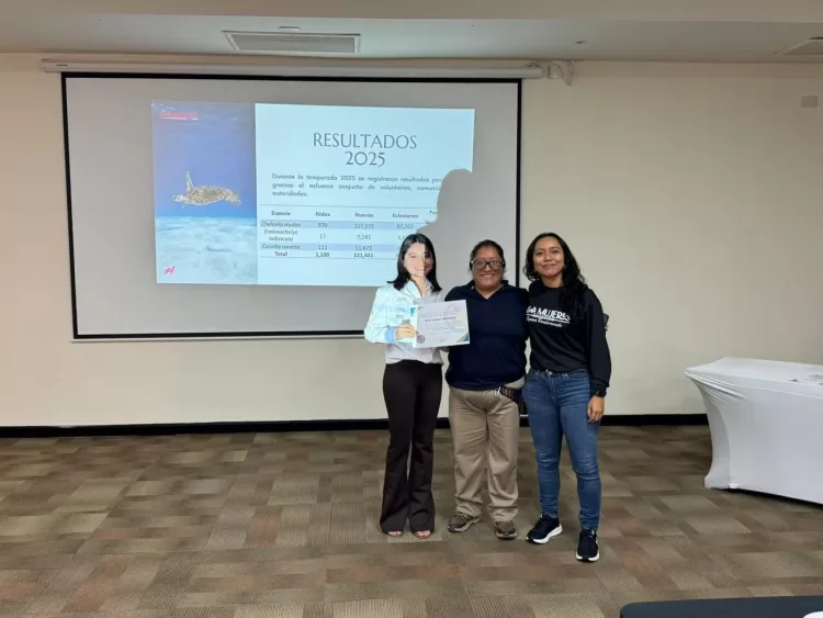 Campamento tortuguero de Isla Mujeres reporta exitosa Temporada de Protección de la Tortuga Marina