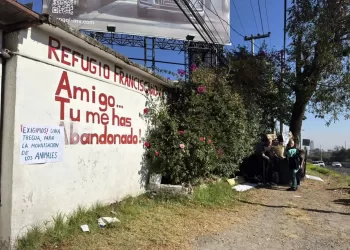 Fundación atiende a miles de perros y gatos desalojados de Refugio Franciscano