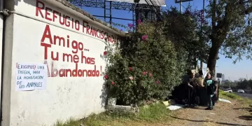 Fundación atiende a miles de perros y gatos desalojados de Refugio Franciscano