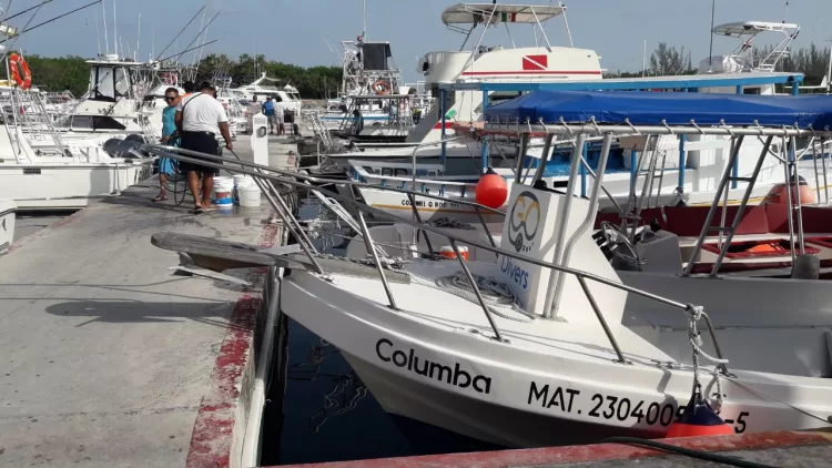 Rechazan náuticos reglamento para yates en Cancún; ya los rige la norma federal