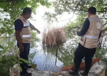 Gobierno de Isla Mujeres refuerza los trabajos preventivos ante el Frente Frío 19