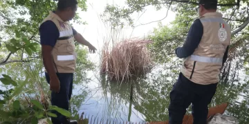 Gobierno de Isla Mujeres refuerza los trabajos preventivos ante el Frente Frío 19