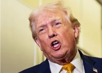 Trump: ahora iremos por tierra contra cárteles; controlan México