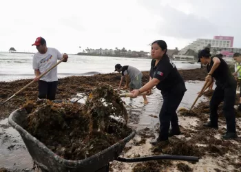 Empresas de bioenergía se reunirán con autoridades de Playa del Carmen en España