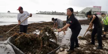 Empresas de bioenergía se reunirán con autoridades de Playa del Carmen en España