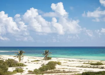 Advierte Greenpeace que proyecto en Cozumel traerá daño ambiental permanente