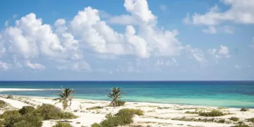 Advierte Greenpeace que proyecto en Cozumel traerá daño ambiental permanente