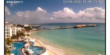 Luce Playa del Carmen sin sargazo tras retiro de 440 toneladas