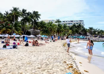 Gobierno de Isla Mujeres atiende con inmediatez recale atípico de sargazo