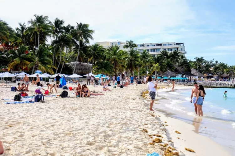 Gobierno de Isla Mujeres atiende con inmediatez recale atípico de sargazo