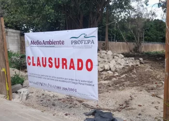 Clausura Profepa deforestación de Bepensa en Xcalacoco