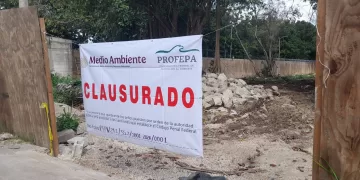 Clausura Profepa deforestación de Bepensa en Xcalacoco