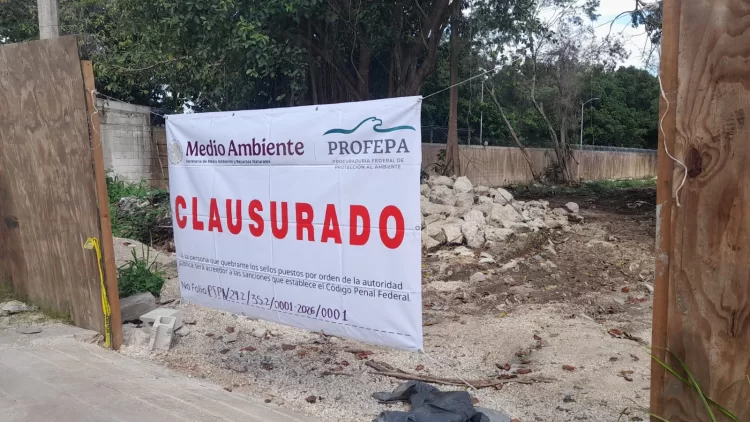 Clausura Profepa deforestación de Bepensa en Xcalacoco