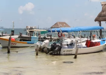 Lento avance, en proyecto de muelle para Puerto Juárez