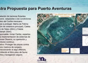 Propone Puerto Aventuras proyecto de 6 mdp para barreras antisargazo