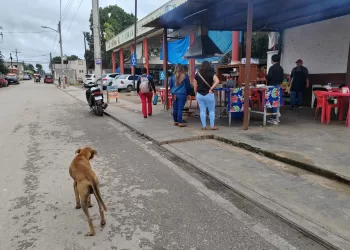 Envenenan perros en dos colonias de José María Morelos