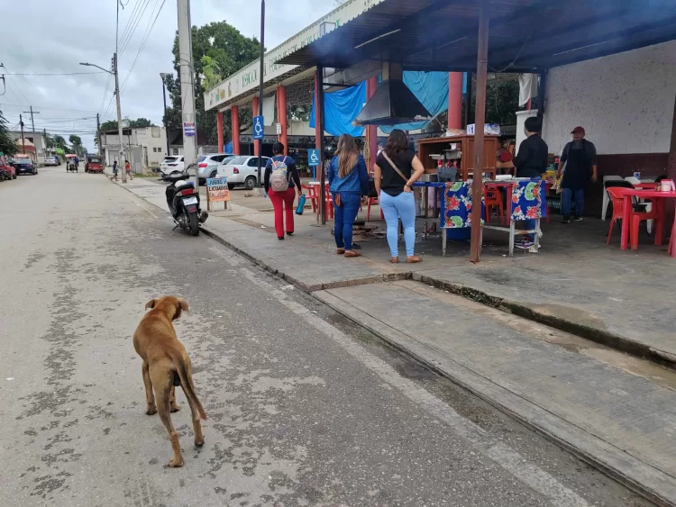 Envenenan perros en dos colonias de José María Morelos