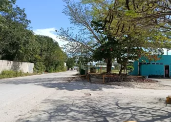 Asalta grupo armado el Sindicato de Taxistas de Playa del Carmen