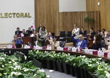 Dimos revisión técnica a firmas de "Salvemos México", no un aval al proyecto: INE