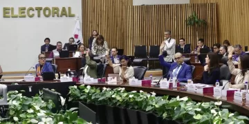 Dimos revisión técnica a firmas de "Salvemos México", no un aval al proyecto: INE