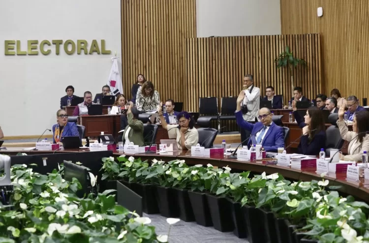 Dimos revisión técnica a firmas de "Salvemos México", no un aval al proyecto: INE