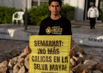 Calica debe reparar daños ambientales en Playa del Carmen: Juzgado federal de Quintana Roo