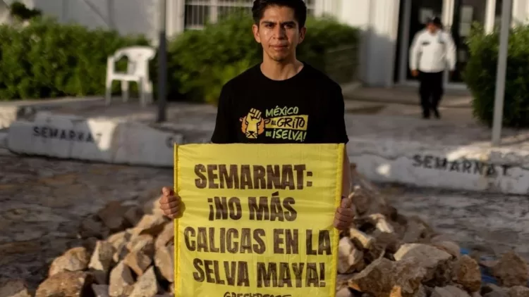 Calica debe reparar daños ambientales en Playa del Carmen: Juzgado federal de Quintana Roo