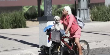 Partidos políticos destinarán 221 mdp a promoción del liderazgo de las mujeres en 2026