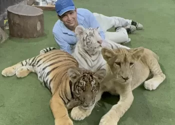 Extranjeros juntan firmas para exigir cierre de ‘Animalandia’