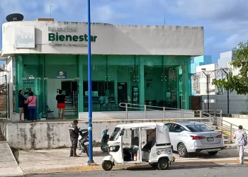 Comercios ya operan con normalidad en Playa del Carmen