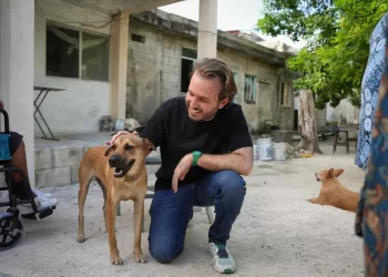 Fernando Muñoz Calero respalda la política de cero tolerancia al maltrato animal en Playa del Carmen