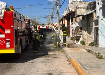 Rescatan 3 perros de palapa en llamas en Playa del Carmen