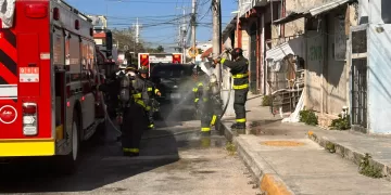 Rescatan 3 perros de palapa en llamas en Playa del Carmen