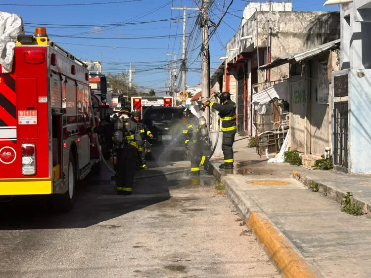 Rescatan 3 perros de palapa en llamas en Playa del Carmen