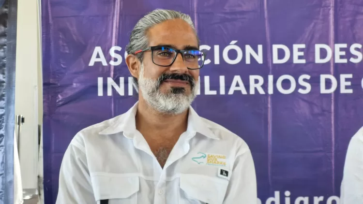 Genera tiburón mayores ingresos vivo que muerto