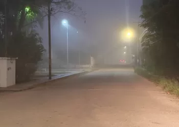 Tiempo extremoso también afecta a la flora y fauna, señala experto