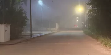 Tiempo extremoso también afecta a la flora y fauna, señala experto