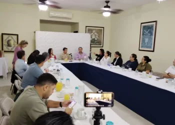 Piden pequeños hoteles de Playa del Carmen mantener inversión contra el sargazo