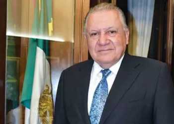 De gallos, cisnes negros y pollos pelones