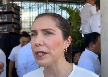 Logran clausurar 6 intentos de colonias irregulares en Isla Mujeres, revela Atenea Gómez