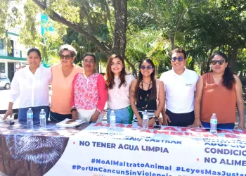 Adopta Fest & Croquetón 2026 en Cancún; un evento en apoyo a mascotas en situación de calle